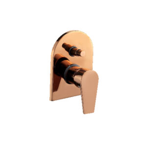 Concealed Diverted Rose
